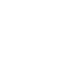 netsecure_icon